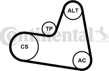 Continental CTAM 6PK962K1 - Комплект пистов ремък www.parts5.com