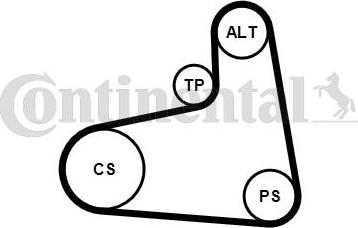 Continental CTAM 6PK906K3 - V-Ribbed Belt Set www.parts5.com