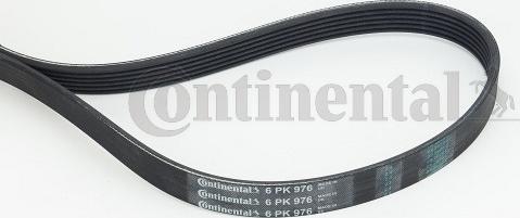 Continental CTAM 6 PK 976 - Klinasti rebrasti kaiš www.parts5.com