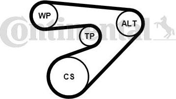 Continental CTAM 6PK1453K2 - Keilrippenriemensatz www.parts5.com