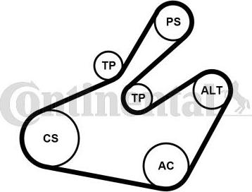 Continental CTAM 6PK1468K1 - V-Ribbed Belt Set www.parts5.com