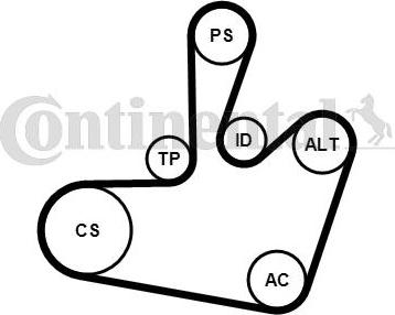 Continental CTAM 6PK1548K1 - Moniurahihnasarja www.parts5.com