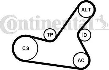 Continental CTAM 6PK1564K2 - V-Ribbed Belt Set parts5.com