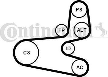 Continental CTAM 6PK1560K1 - V-Ribbed Belt Set www.parts5.com