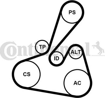 Continental CTAM 6 PK 1502 EXTRA K1 - V-Ribbed Belt Set www.parts5.com