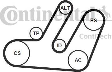 Continental CTAM 6PK1580K1 - Komplet klinastog rebrastog remena www.parts5.com