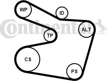 Continental CTAM 6PK1538K2 - Garnitura klinastog rebrastog kaiša www.parts5.com