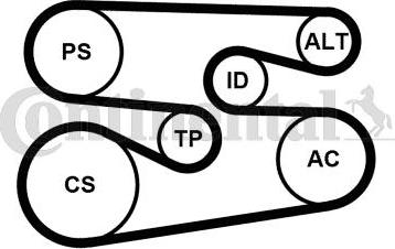 Continental CTAM 6PK1698WP2 - Αντλία νερού + σετ ιμάντων poly-V www.parts5.com