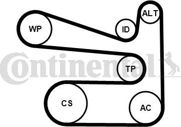 Continental CTAM 6PK1693K1 - V-Ribbed Belt Set www.parts5.com