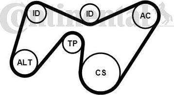 Continental CTAM 6PK1642K2 - Juego de correas trapeciales poli V www.parts5.com