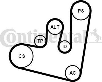 Continental CTAM 6PK1660K1 - Zestaw paska klinowego wielorowkowego www.parts5.com
