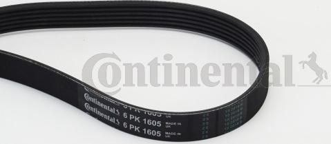 Continental CTAM 6PK1605 - Moniurahihna www.parts5.com