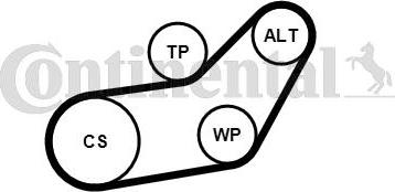 Continental CTAM 6PK1045K1 - Komplet rebrastega jermena www.parts5.com