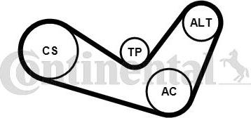 Continental CTAM 6PK1050K4 - V-Ribbed Belt Set parts5.com