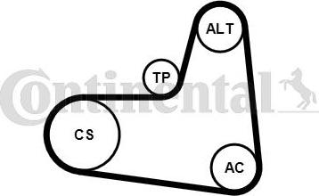 Continental CTAM 6 PK 1005 K1 - Keilrippenriemensatz www.parts5.com