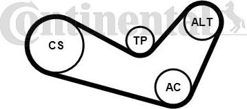 Continental CTAM 6 PK 1080 K1 - Komplet klinastog rebrastog remena www.parts5.com