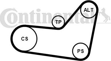 Continental CTAM 6PK1080K2 - V-Ribbed Belt Set parts5.com