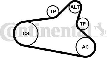 Continental CTAM 6PK1020 EXTRA K1 - V-Ribbed Belt Set www.parts5.com