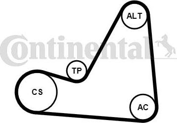 Continental CTAM 6PK1070K3 - V-Ribbed Belt Set parts5.com