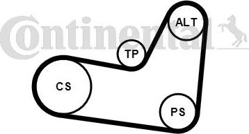 Continental CTAM 6PK1070K2 - Set curea transmisie cu caneluri www.parts5.com