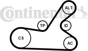 Continental CTAM 6PK1145K4 - V-Ribbed Belt Set www.parts5.com