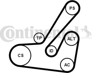 Continental CTAM 6PK1145K2 - Set curea transmisie cu caneluri www.parts5.com