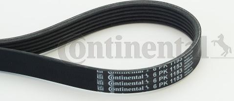 Continental CTAM 6PK1153 - Pasek klinowy wielorowkowy www.parts5.com