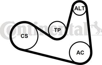 Continental CTAM 6 PK 1180 K2 - Ozubený klinový remeň - Sada www.parts5.com