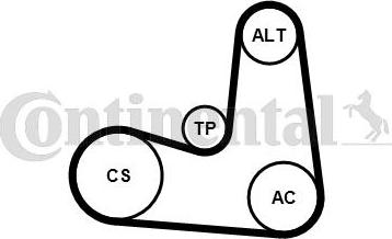 Continental CTAM 6PK1180K5 - V-Ribbed Belt Set www.parts5.com