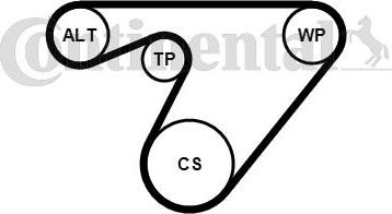 Continental CTAM 6PK1180K3 - Поликлиновый ременный комплект www.parts5.com