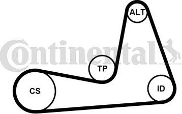 Continental CTAM 6PK1130K1 - Garnitura klinastog rebrastog kaiša www.parts5.com