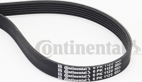 Continental CTAM 6 PK 1120 - Ozubený klinový remeň www.parts5.com