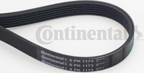 Continental CTAM 6PK1173 - Curea transmisie cu caneluri www.parts5.com