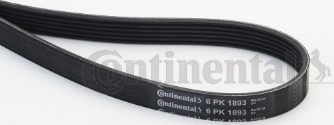 Continental CTAM 6PK1893 - Correa trapecial poli V www.parts5.com