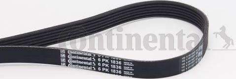 Continental CTAM 6 PK 1836 - Ozubený klínový řemen www.parts5.com