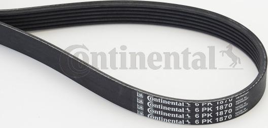 Continental CTAM 6 PK 1870 - Pasek klinowy wielorowkowy www.parts5.com