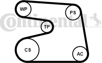 Continental CTAM 6PK1873K4 - V-Ribbed Belt Set parts5.com