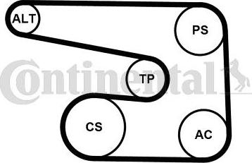 Continental CTAM 6PK1873K5 - V-Ribbed Belt Set parts5.com