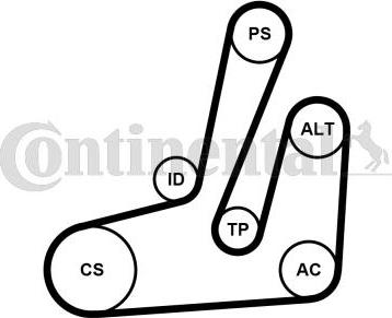 Continental CTAM 6PK1390K1 - Ozubený klinový remeň - Sada www.parts5.com