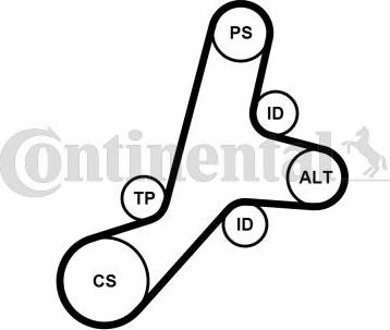 Continental CTAM 6PK1345K1 - Set curea transmisie cu caneluri www.parts5.com