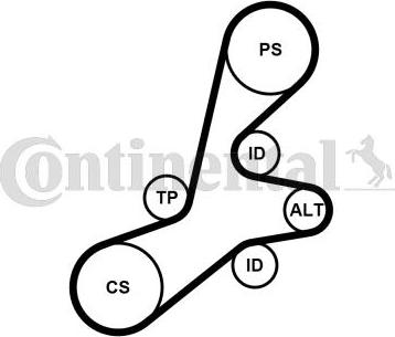 Continental CTAM 6PK1352K1 - Поликлиновый ременный комплект www.parts5.com