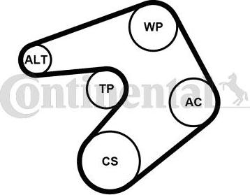 Continental CTAM 6PK1244K1 - Komplet klinastog rebrastog remena www.parts5.com