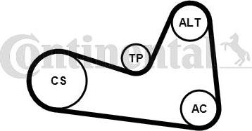 Continental CTAM 6PK1200K1 - Garnitura klinastog rebrastog kaiša www.parts5.com