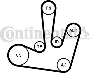 Continental CTAM 6PK1795K1 - V-Ribbed Belt Set parts5.com