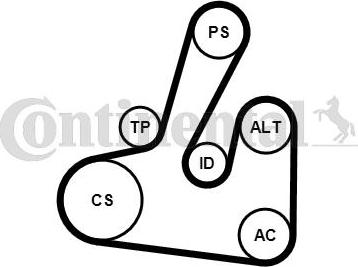 Continental CTAM 6PK1705K2 - Set curea transmisie cu caneluri www.parts5.com