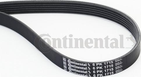 Continental CTAM 6PK1715 - V-Ribbed Belt www.parts5.com