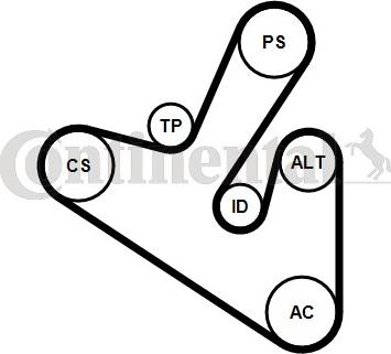 Continental CTAM 6PK1710K1 - Komplet rebrastega jermena www.parts5.com