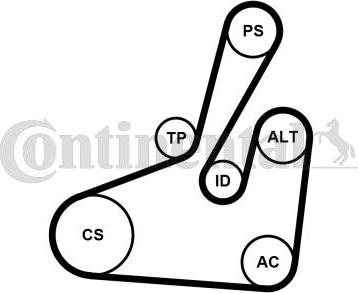 Continental CTAM 6PK1710K2 - Komplet rebrastega jermena www.parts5.com