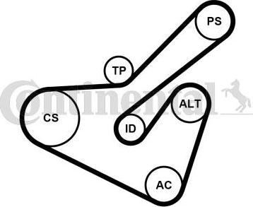 Continental CTAM 6PK1725K2 - Σετ ιμάντων poly-V www.parts5.com