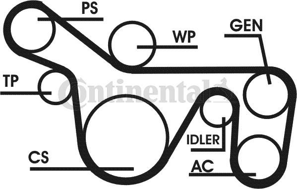 Continental CTAM 6PK1720D1 - Juego de correas trapeciales poli V www.parts5.com